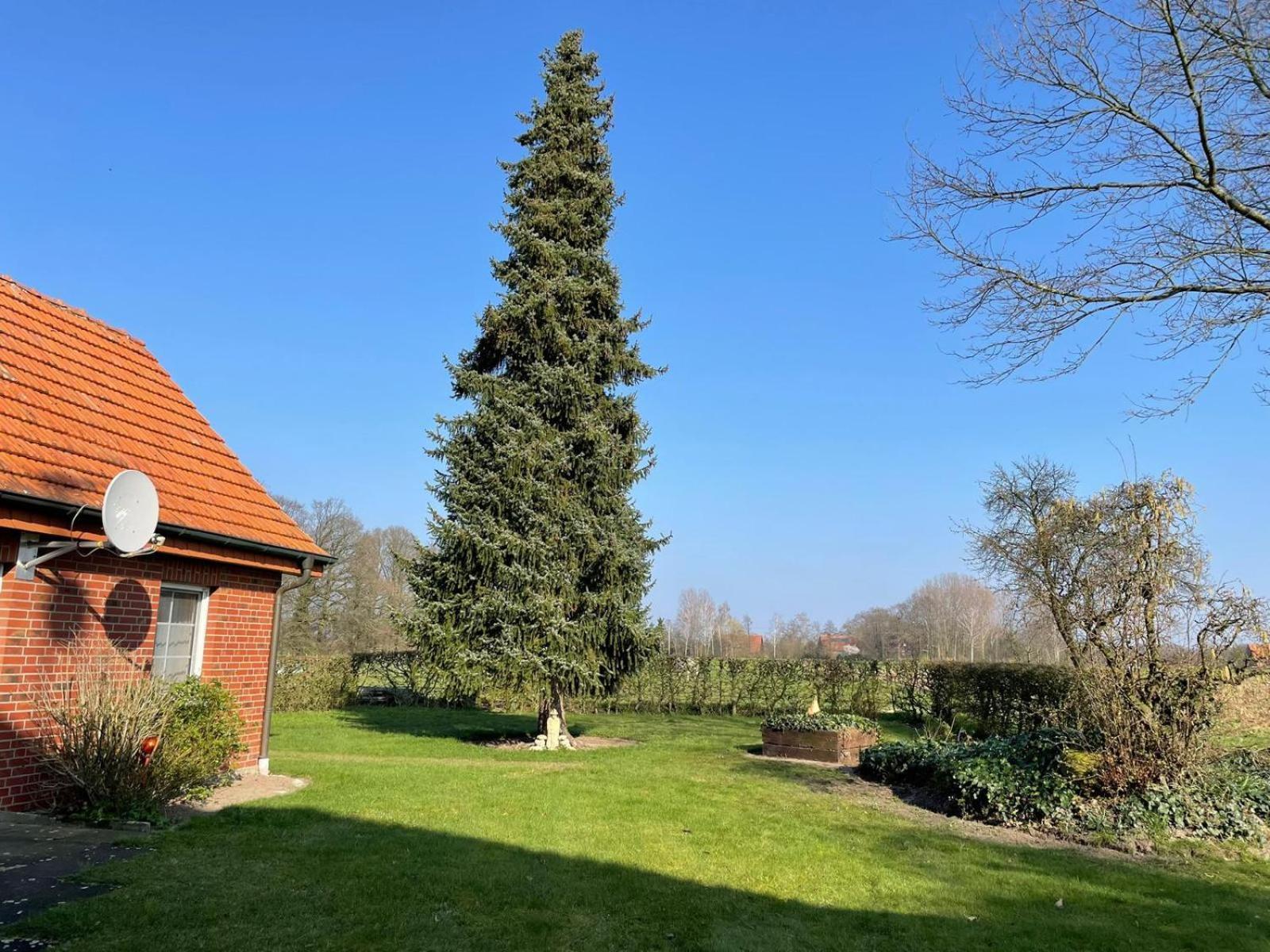 Ferienwohnung Kiebitzheide Beelen Exterior photo